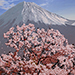 Tomohiro Momose Gallery